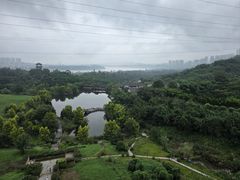 -张坝桂圆林公园