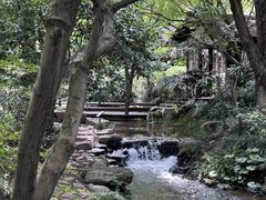 -中国茶叶博物馆(双峰馆区)