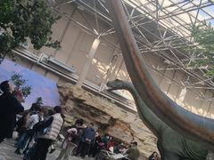 -国家自然博物馆