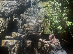 -九华秋浦胜境大王洞风景区