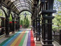 -合肥滨湖国家森林公园