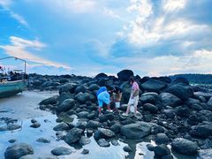 -硇洲岛旅游区