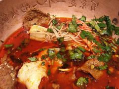 牛油锅底-成都你六姐·牛肉冒菜(城市集市合生汇店)