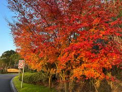-东钱湖旅游度假区