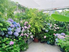 -小时光咖啡馆(北锣鼓巷店)