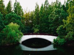 -东平国家森林公园