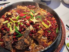 -老板恋上鱼(高新万达店)