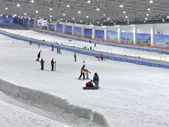 景点-绍兴启迪乔波冰雪世界