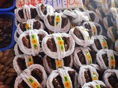 -南沙十九涌渔人码头-南门