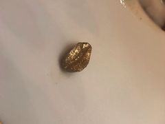 -迪拜帆船酒店海底餐厅