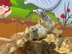 -秦皇岛新澳海底世界