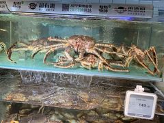 -超级物种(省府店)