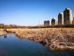 -前关湿地公园