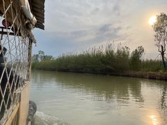-泗洪洪泽湖湿地景区