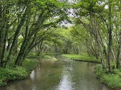 -西溪南古村落景区
