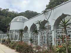 -深圳仙湖植物园
