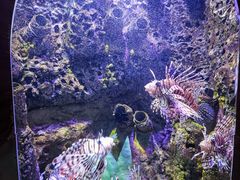 -太平洋海底世界