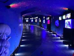 -烟台海昌鲸鲨海洋公园