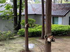 -蝴蝶泉公园