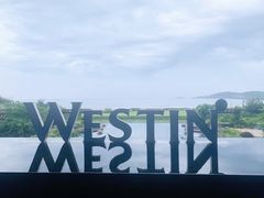 -舟山希尔顿酒店