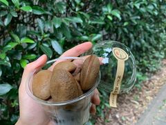 咖啡豆饼-莫朗核桃饼(虹泉路店)