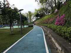 -重庆平顶山公园