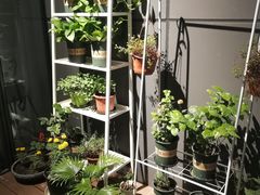 -Primo·丽莫意大利窑烤披萨