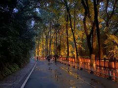 -岳麓山风景名胜区