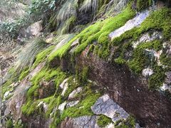 -大明山自然探索公园