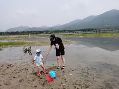 -十三陵水库