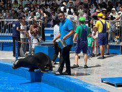 -华夏文旅海洋公园