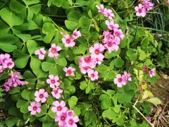 -美家乐农庄·露营·团建(大治路店)