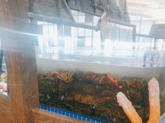 -半岛听涛蒸汽海鲜自助(K11店)