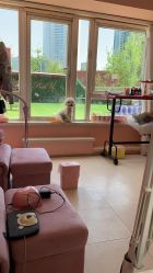 -Pink You美甲美睫纹绣定制中心