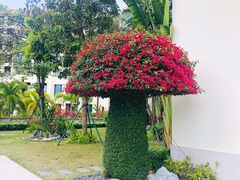 -惠州金海湾嘉华度假酒店