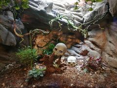 -成都浩海立方海洋公园