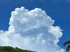 -日落吧·海景咖啡厅·餐酒吧·鸡尾酒·下午茶·乐队表演·浪漫夕阳·三亚文华东方酒店