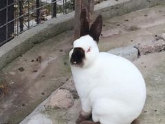 -上海滴水湖皇冠假日酒店