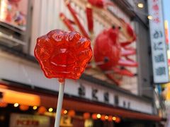 门面-蟹道乐(道顿堀本店)