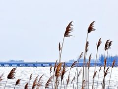 -兴安湖生态运动公园