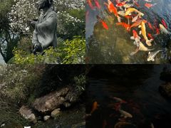 -中国茶叶博物馆(双峰馆区)