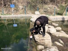 -白水寺森林公园