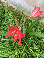 -意然瑜伽·普拉提