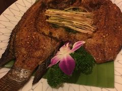 -紫滇源云南生态菜(丹凤街店)