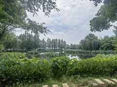 -金银湖国家城市湿地公园