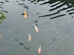 -黄檀硐景区