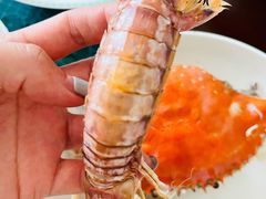 -京贸物联批发市场