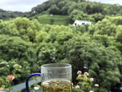 -阿巧茶庄