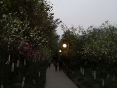 -重庆彩云湖湿地公园