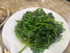 炒地瓜叶-嘉兴盐焗鸡(义龙路店)